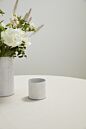 Design Shop Whitewashed Norah Vase 3"x 3", Set of 6