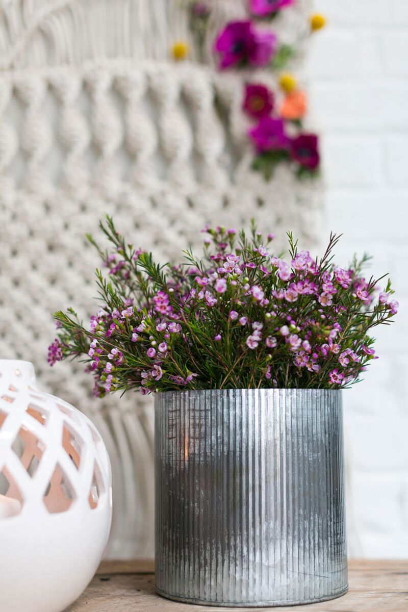 Design Shop Silver Norah Collection Pot, 6.75" X 6.75".