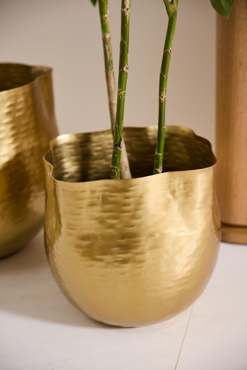 Design Shop Gold Novella Pot, 13.25" X 12.5".