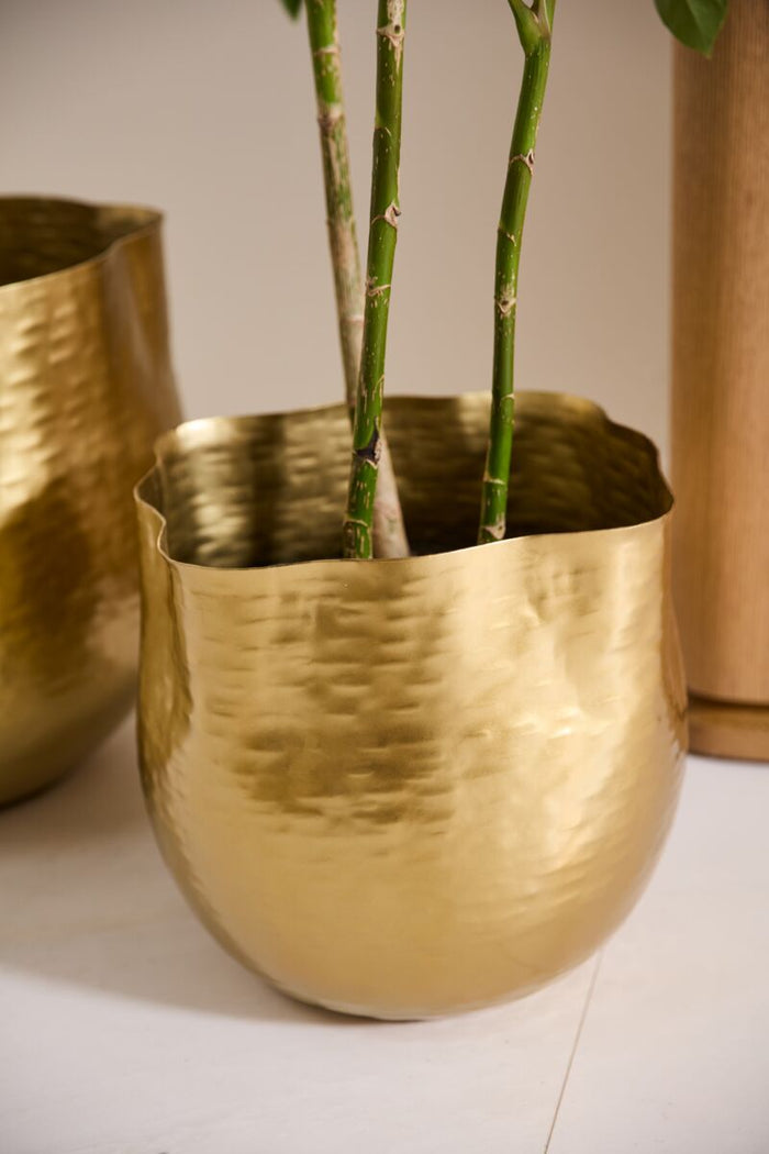 Design Shop Gold Novella Pot, 13.25" X 12.5".