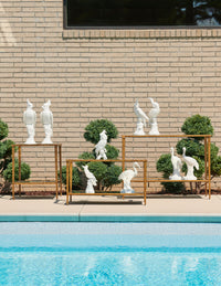 Chelsea House Large Parrots - White (Pr)