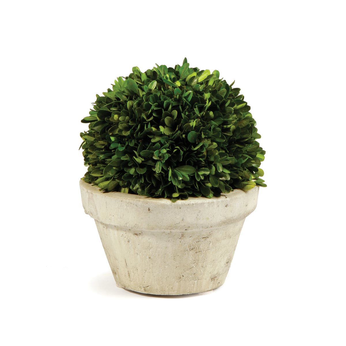 Design Shop Boxwood Ball In Pot Large