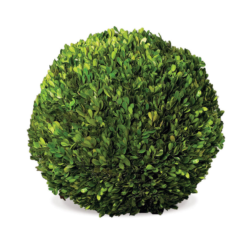 Design Shop Boxwood Ball 16"