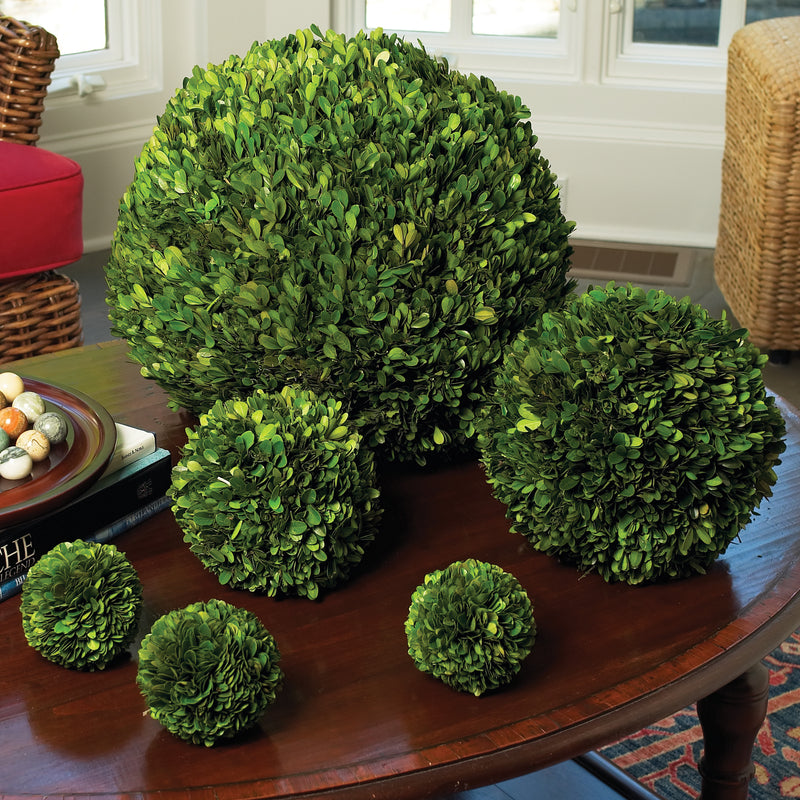 Design Shop Boxwood Ball 16"