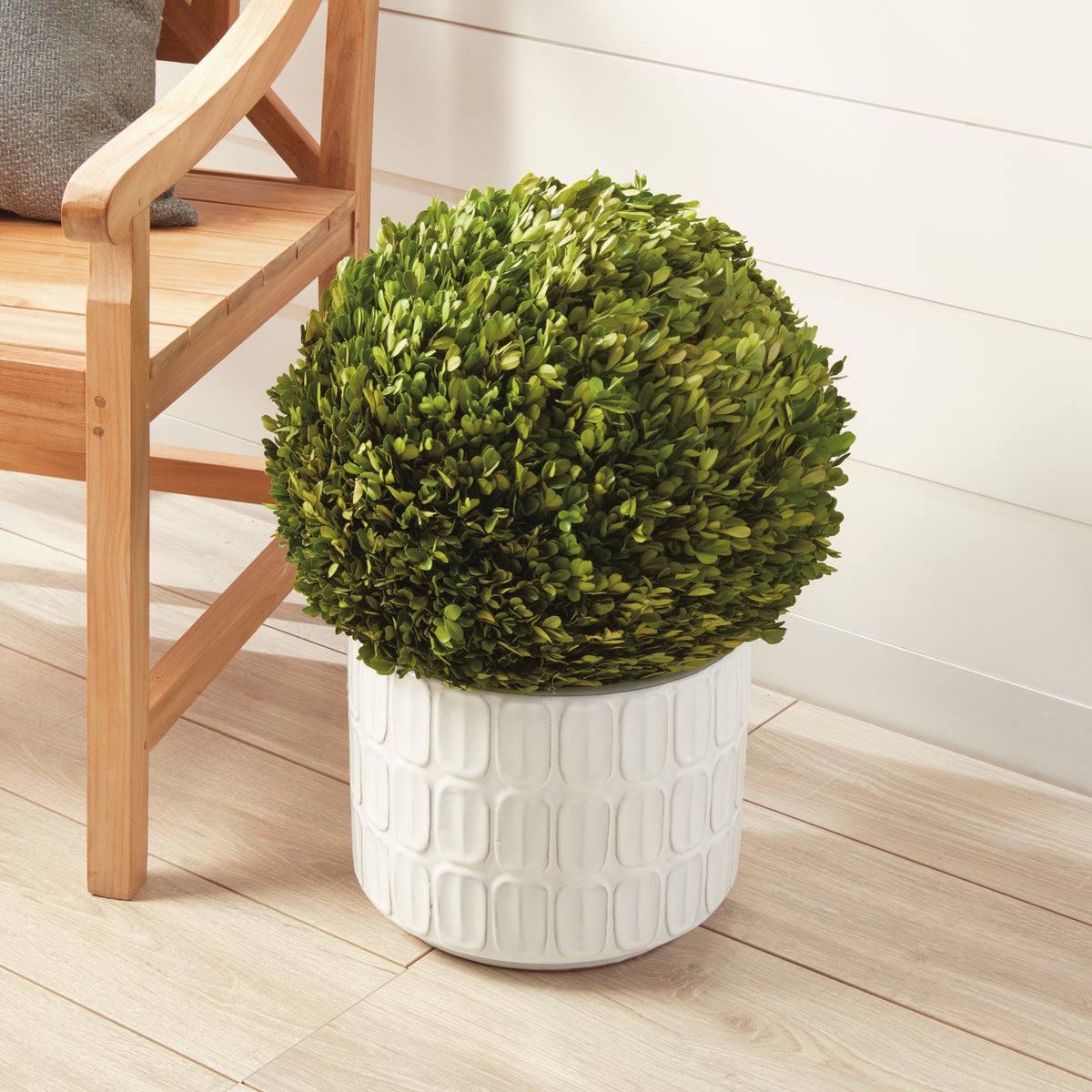 Design Shop Boxwood Ball 16"