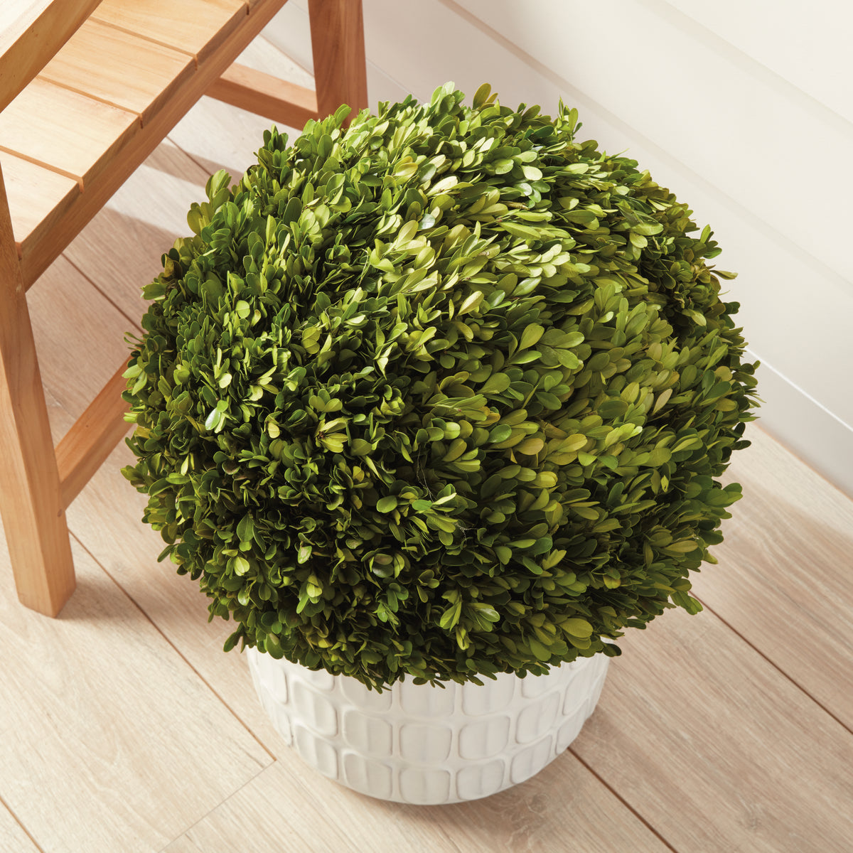 Design Shop Boxwood Ball 16"