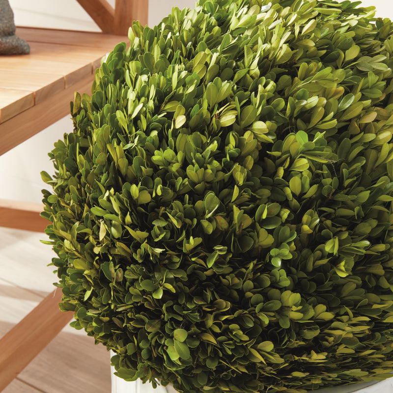 Design Shop Boxwood Ball 16"