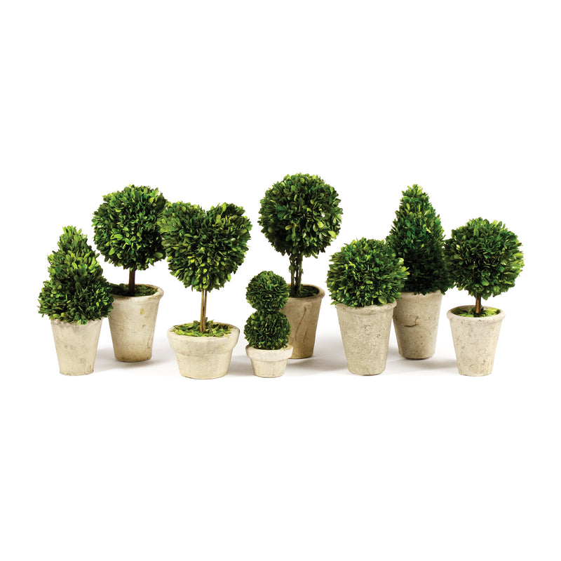 Design Shop Boxwood Topiaries In Pots, Set Of 8