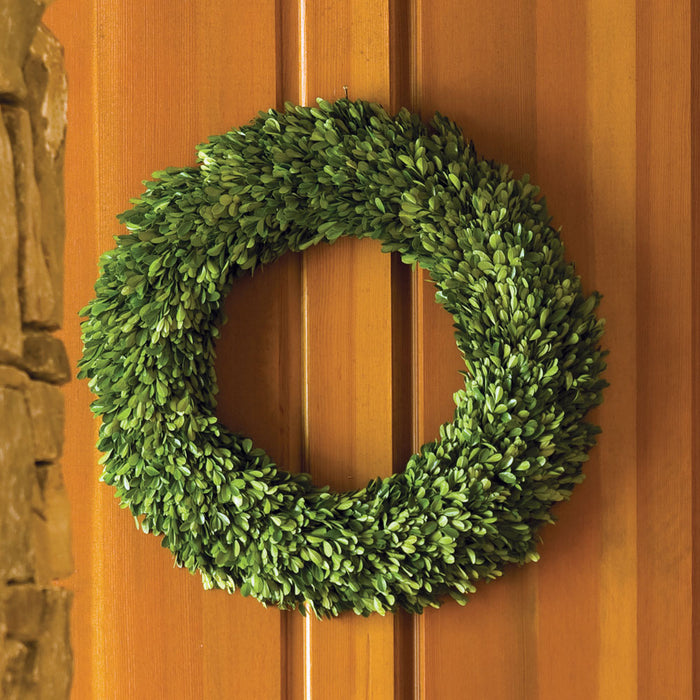 Design Shop Boxwood Wreath 24"