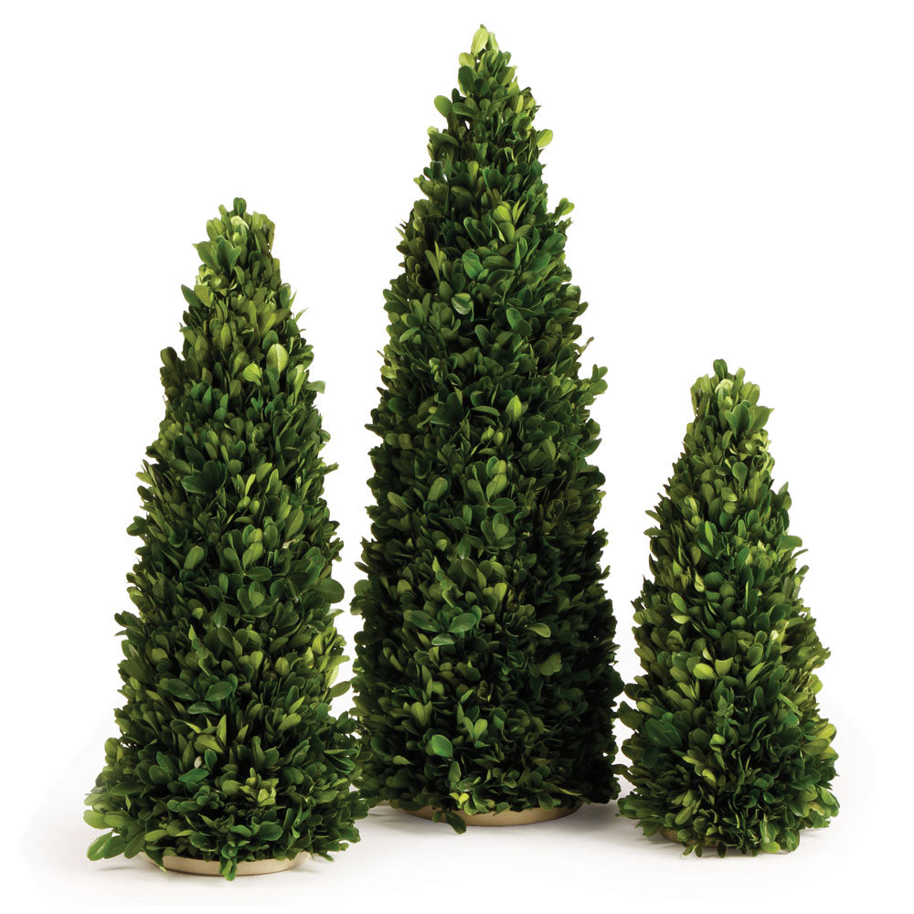 Blue Tree Mini Design Shop Boxwood Mini Trees, Set Of 3 β Design Shop By Shell