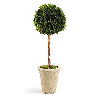 Design Shop Boxwood Single Sphere Topiary 18.5"