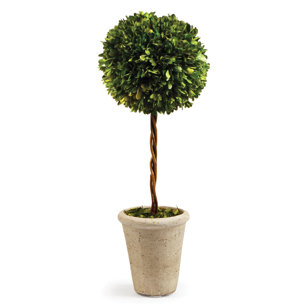 Design Shop Boxwood Single Sphere Topiary 23.25"