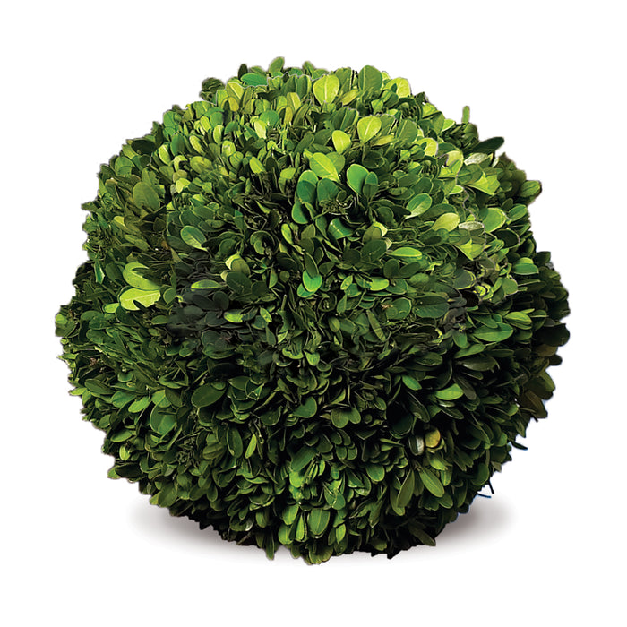 Design Shop Boxwood Ball 12"