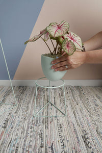 Design Shop Green Kelly Plant Stand, 8" X 8.75".