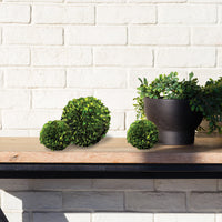Design Shop Boxwood Ball 8"