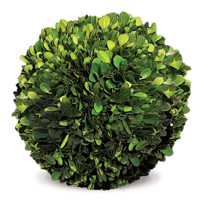 Design Shop Boxwood Ball 8"
