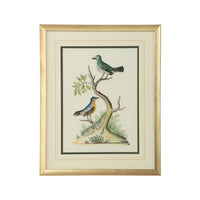 Chelsea House Cain Birds F