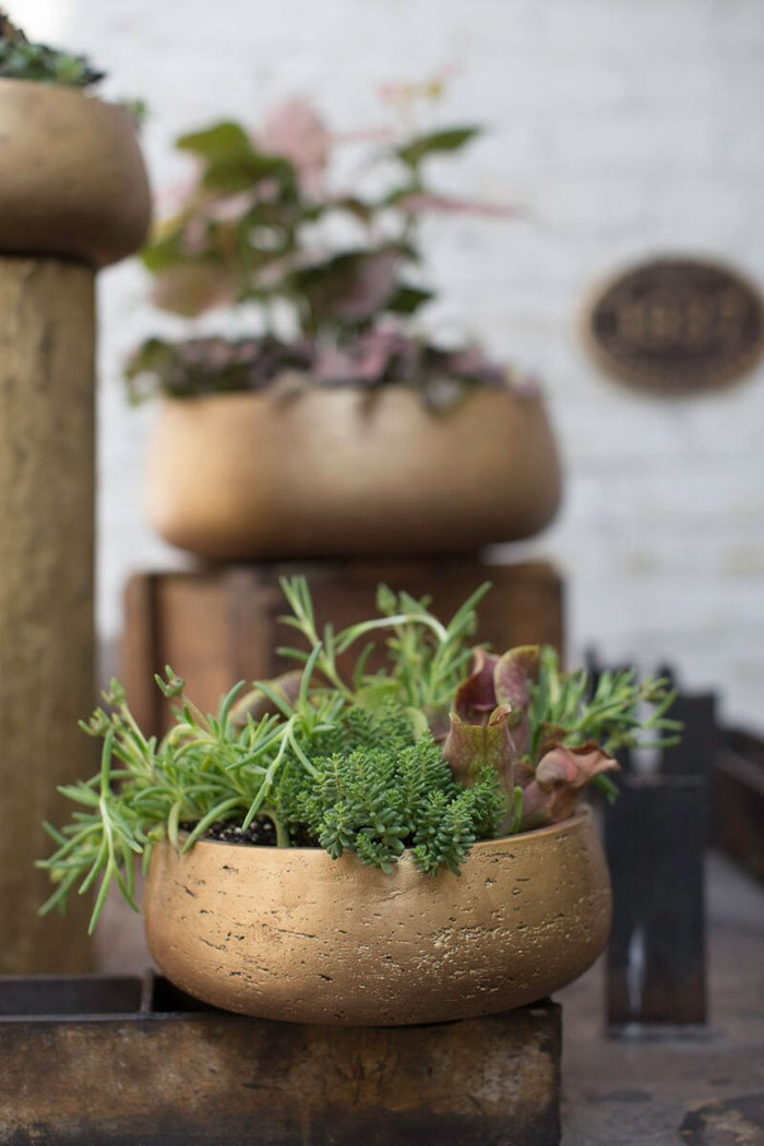 Design Shop Gold Mecca Bowl, 9.5" X 3.5".