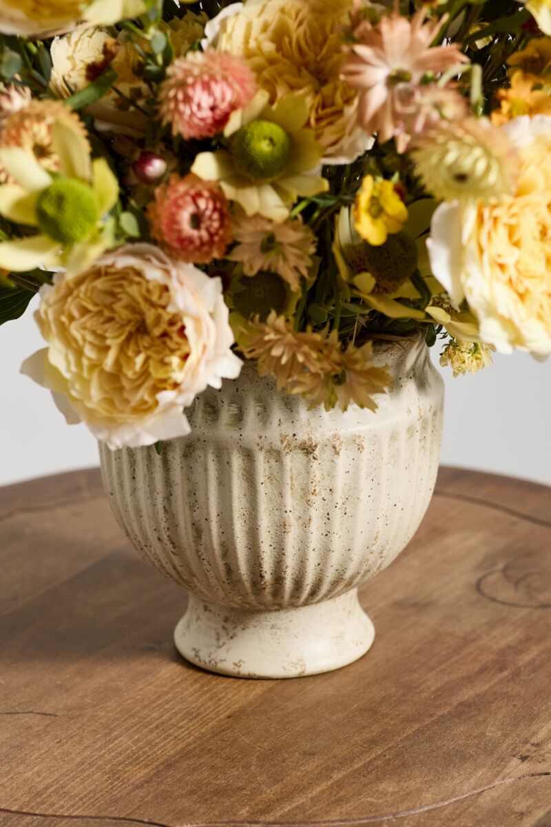 Design Shop Cadmus Urn 7.5"x 7.5"