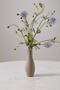 Design Shop Holden Budvase 2.75"x 8", Set of 4