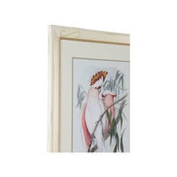 Chelsea House Pastel Parrots I