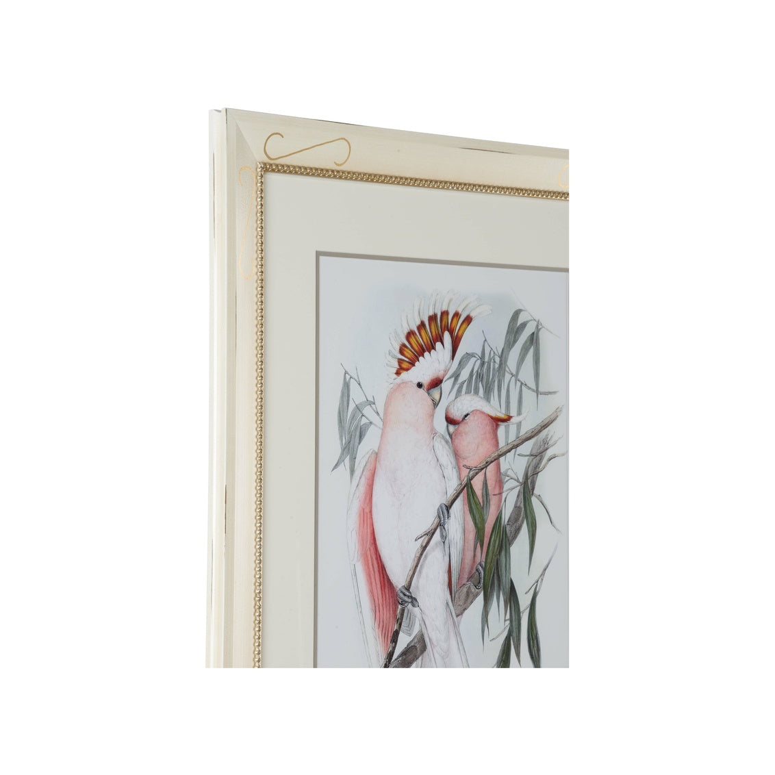 Chelsea House Pastel Parrots I