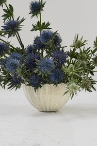 Design Shop Monarch Bowl 7.5"x 4.25", Set of 4