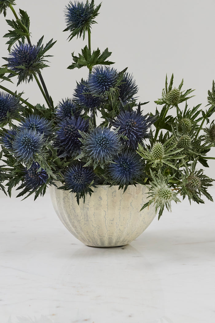 Decorative plant with blue flowers in a textured white pot on a light background