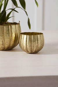 Design Shop Ravi Pot 4"x 3.5", Set of 4