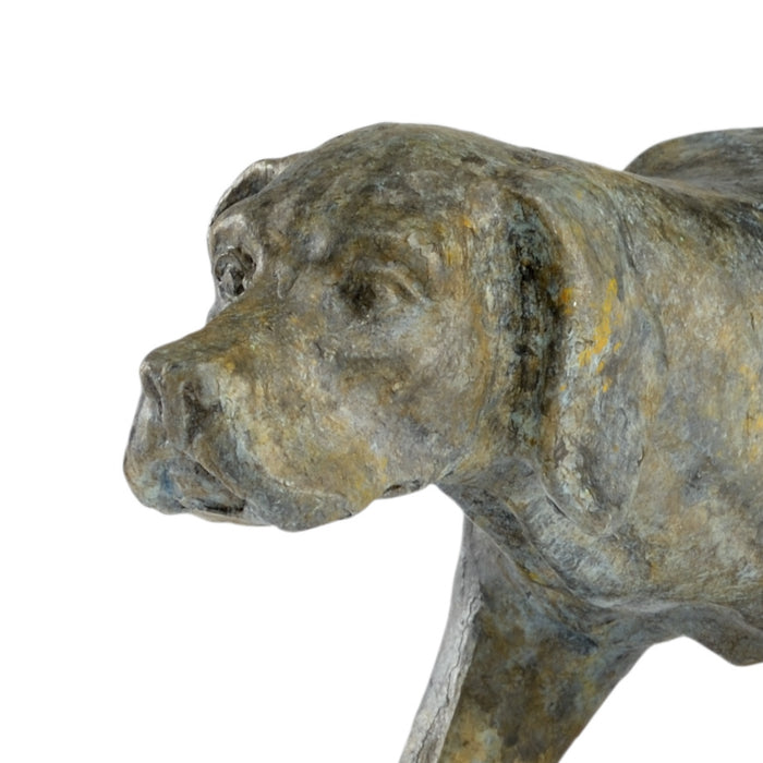 Chelsea House Pointer - Verde