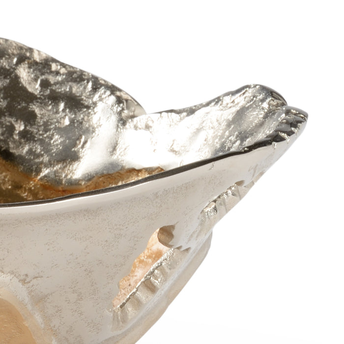 Close-up of a silver shell with a textured surface on a white background