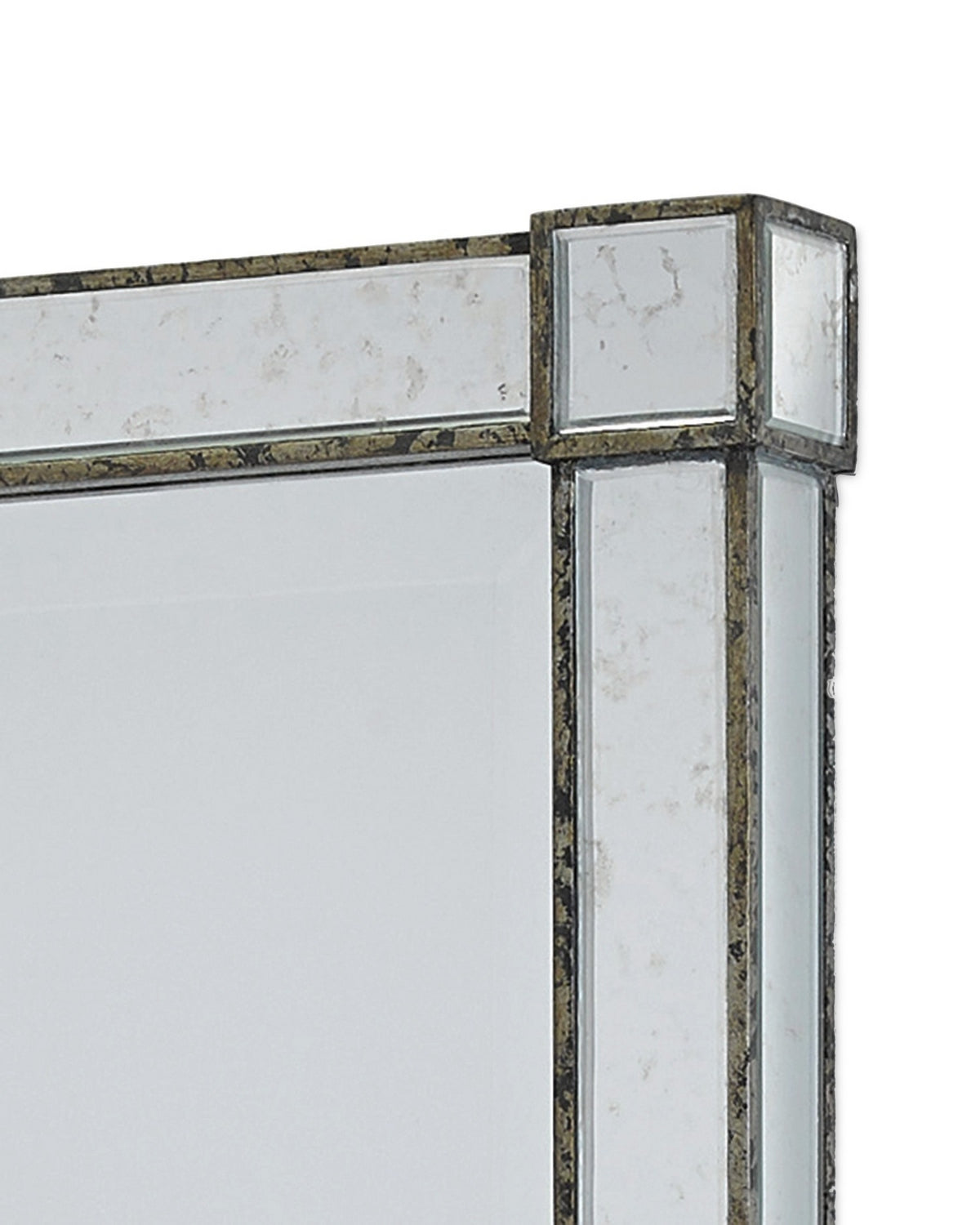 Currey and Company - 1000-0008 - Mirror - Monarch - Silver Viejo