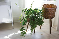 Design Shop Natural Bam Basket, 10.75" X 21.5".