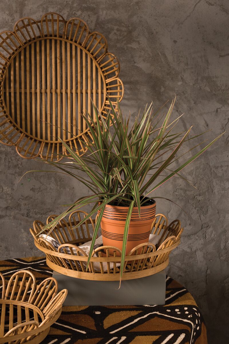 Design Shop Natural Bloemen Tray, 17.75" X 4"