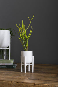 Design Shop White Mallow Plant Stand, 4" X 7.25"