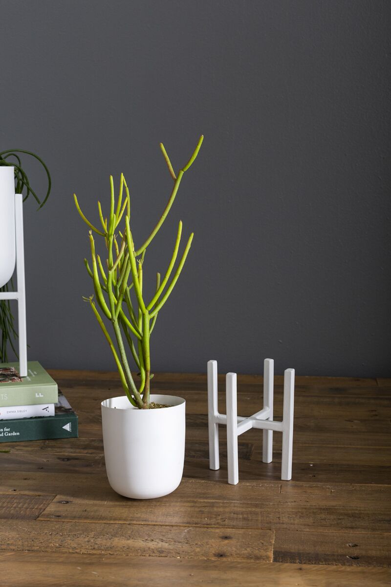 Design Shop White Mallow Plant Stand, 4" X 7.25"