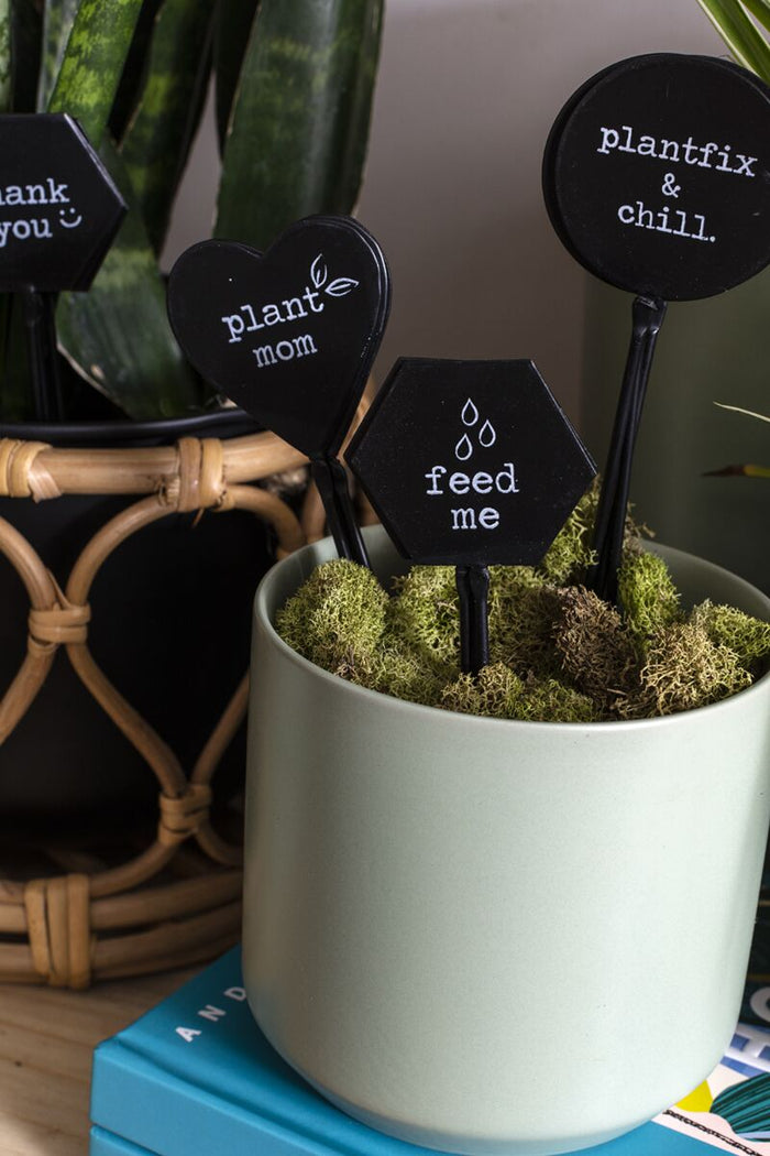 Design Shop Black Friendly Phrases Plant Stick FEED ME, 2" X 6.25", Set of 12.