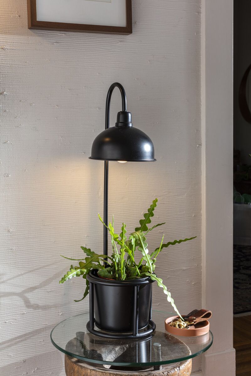 Design Shop Black Kira Collection Plant Stand, 8" X 28"