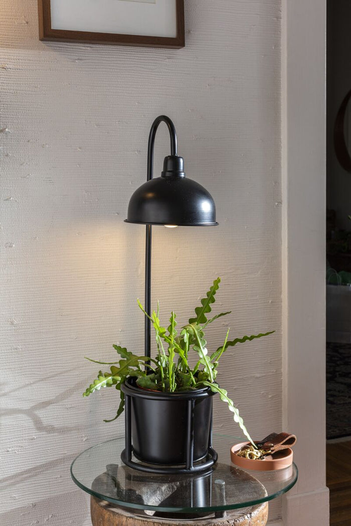 Design Shop Black Kira Collection Plant Stand, 8" X 28"