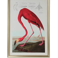 Chelsea House American Flamingo