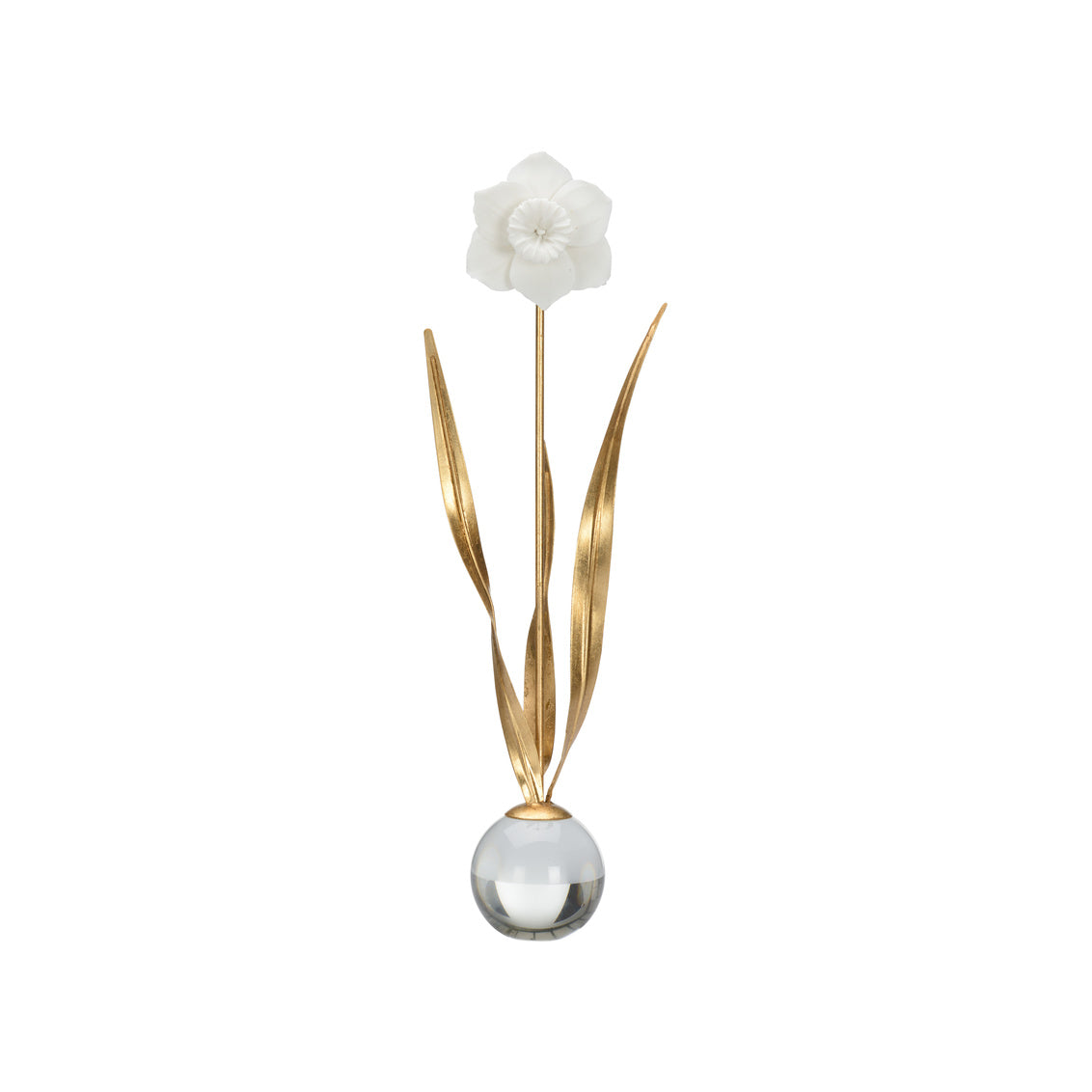 Chelsea House Daffodil