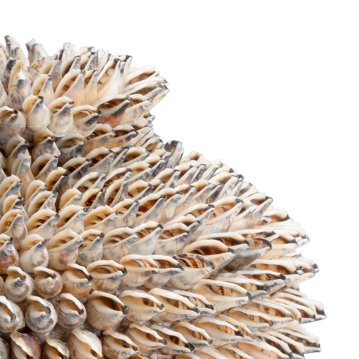 Chelsea House Strombus Shell Vase