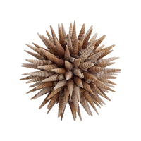 Chelsea House Marlin Shell Ball (Lg)