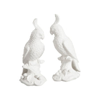 Chelsea House Cockatoos - White (Pr)