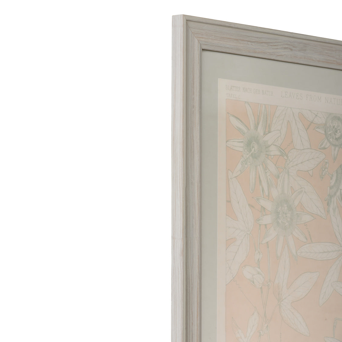 Chelsea House Leaves From Nature No.10