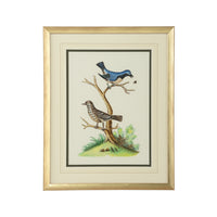 Chelsea House Cain Birds E