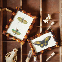 Design Shop Bamboo Photo Frame - Bamboo, Set of 2.