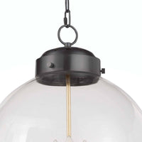 Regina Andrew - 16-1004ORBNB - Three Light Pendant - Globe - Oil Rubbed Bronze