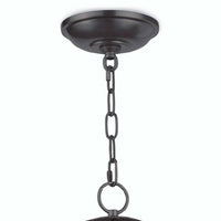 Regina Andrew - 16-1004ORBNB - Three Light Pendant - Globe - Oil Rubbed Bronze