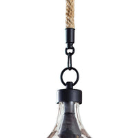 Regina Andrew - 16-1102 - Three Light Pendant - Demi John - Clear